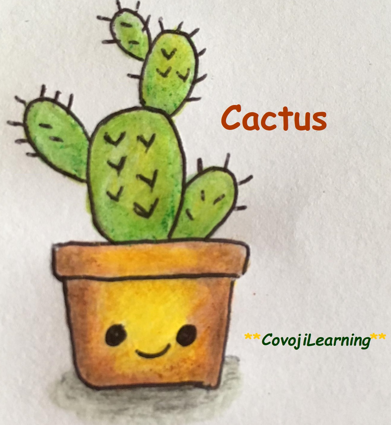 Cactus World | Covoji Learning