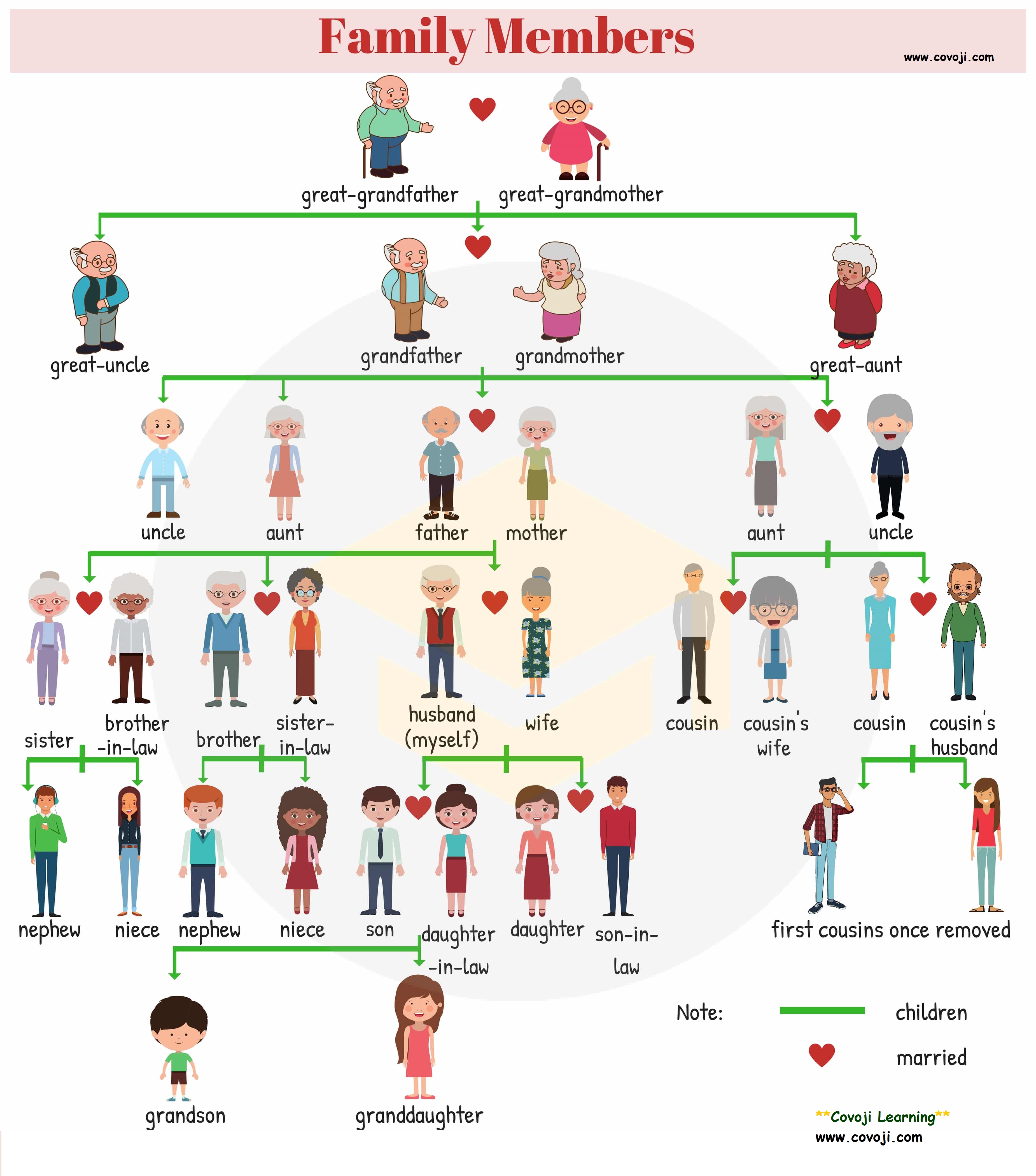 cousin-vs-niece-main-differences-and-uses-of-these-words