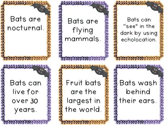 Mystery Of Bats | Covoji Learning