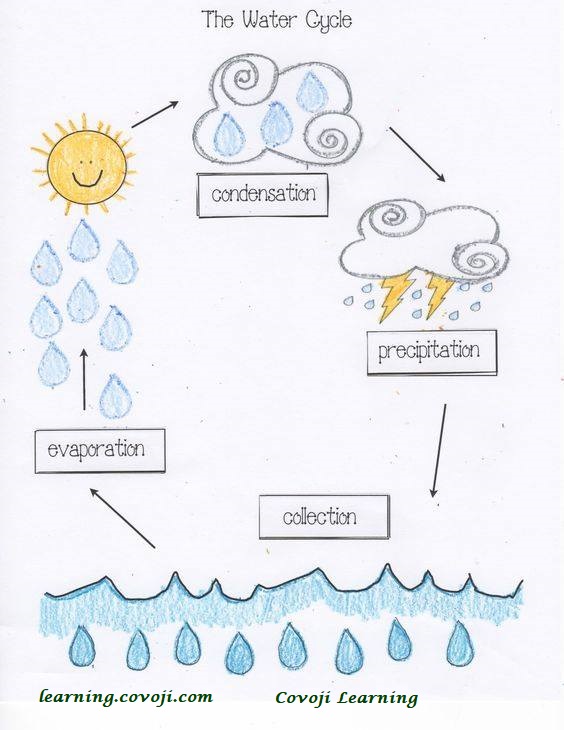 precipitation water cycle