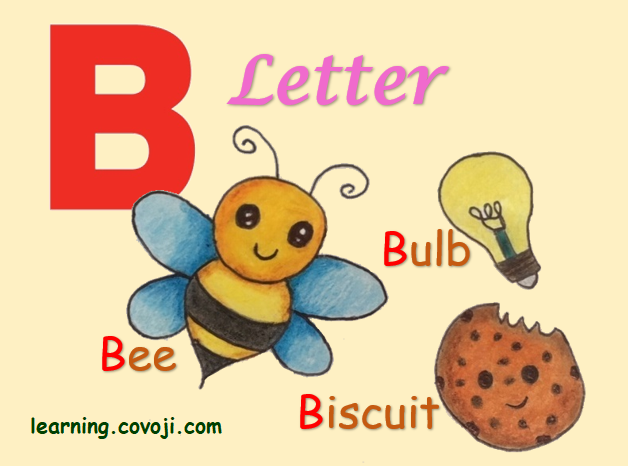 Letter B Words  Covoji Learning