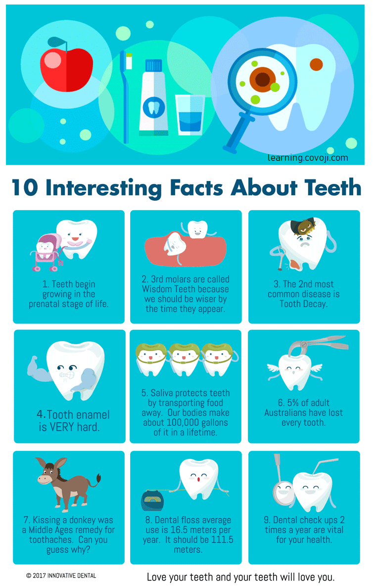 Fun Facts About Wisdom Teeth