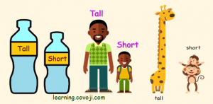 Tall vs Short | Covoji Learning