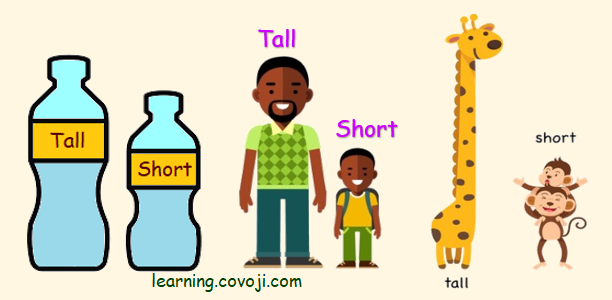 Learning Tall and Short, Easy to learn Comparison for Kids, छोटा /  लम्बा