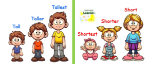 Tall vs Short | Covoji Learning