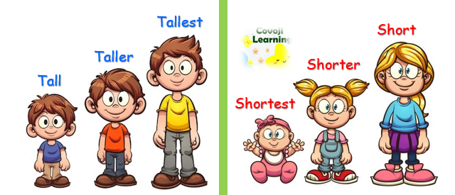 Tall vs Short | Covoji Learning