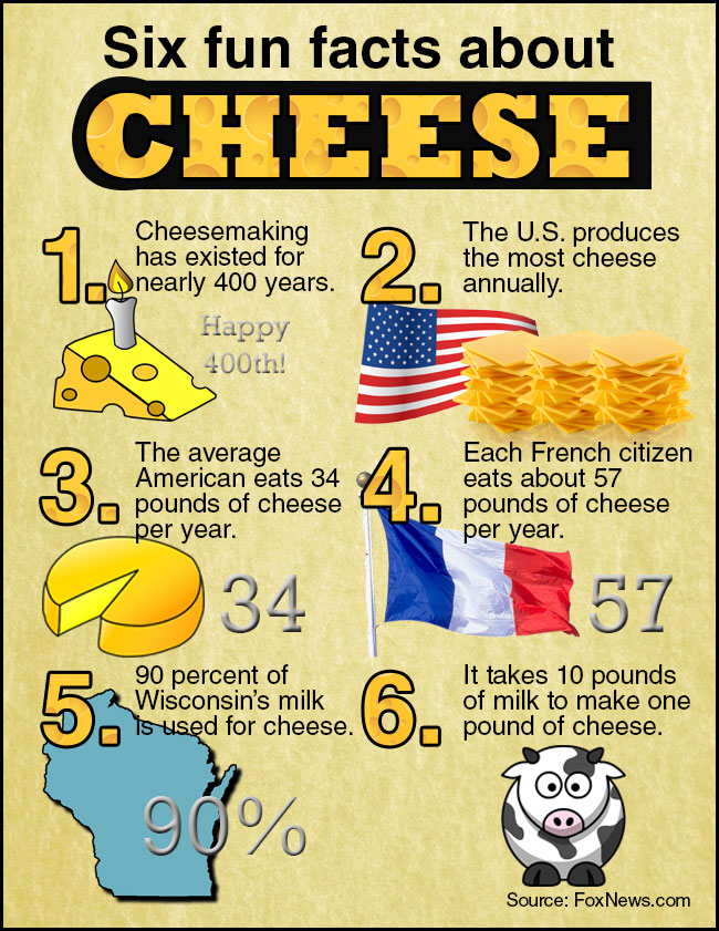 random essay about cheese