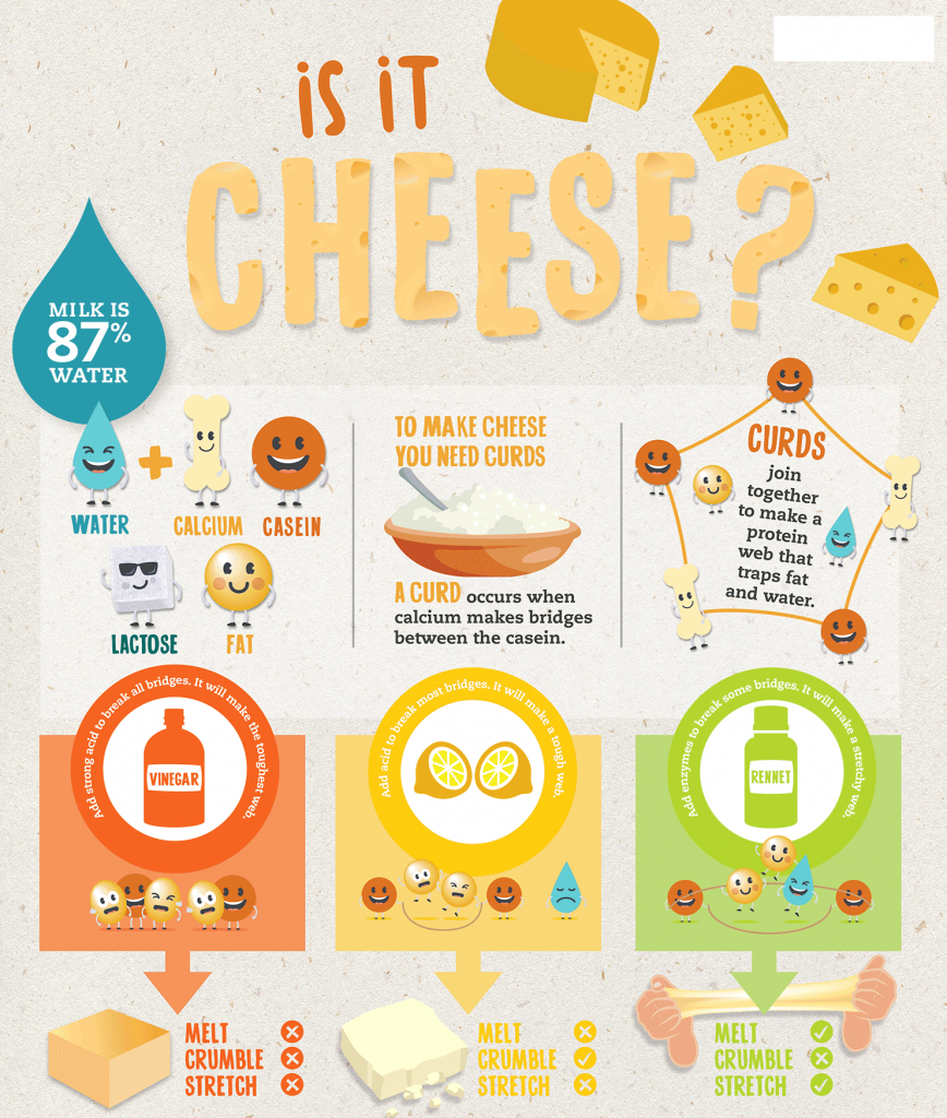 The Magic of Cheese Making Covoji Learning