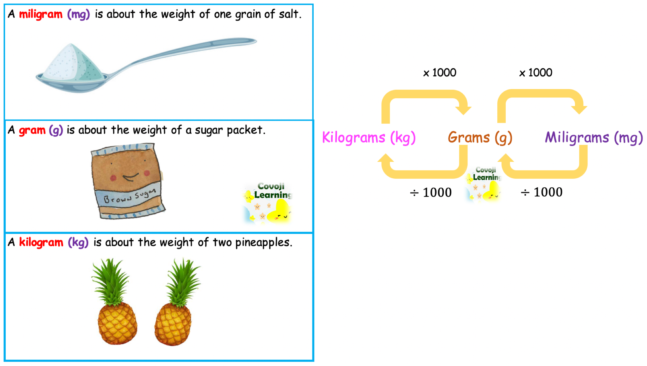 What Is The Metric Unit Used To Measure Weight