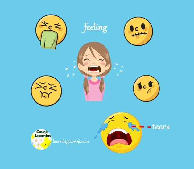 why-do-we-cry-covoji-learning